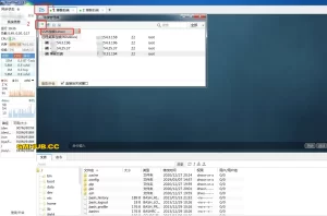 FinalShell 3.0.10 高级版解锁版 中文